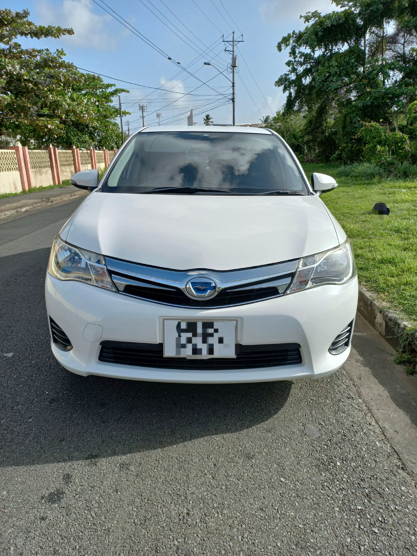 Toyota Corolla Fielder